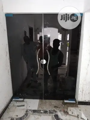 Frameless Grey 10mm Tempered Glass Door