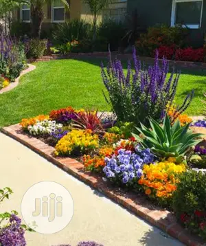 Land Scaping