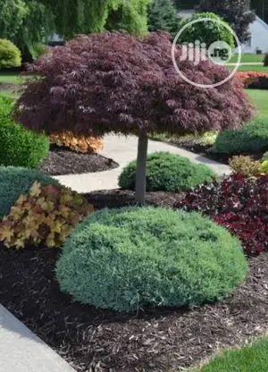 Land Scaping And Flower Pot