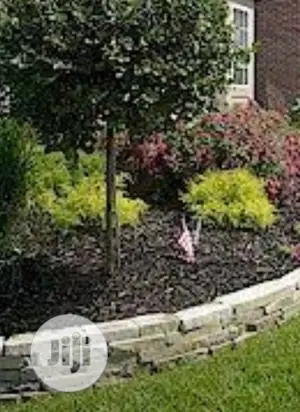 Land Scaping And Garden