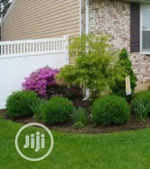 Land Scaping And Garden