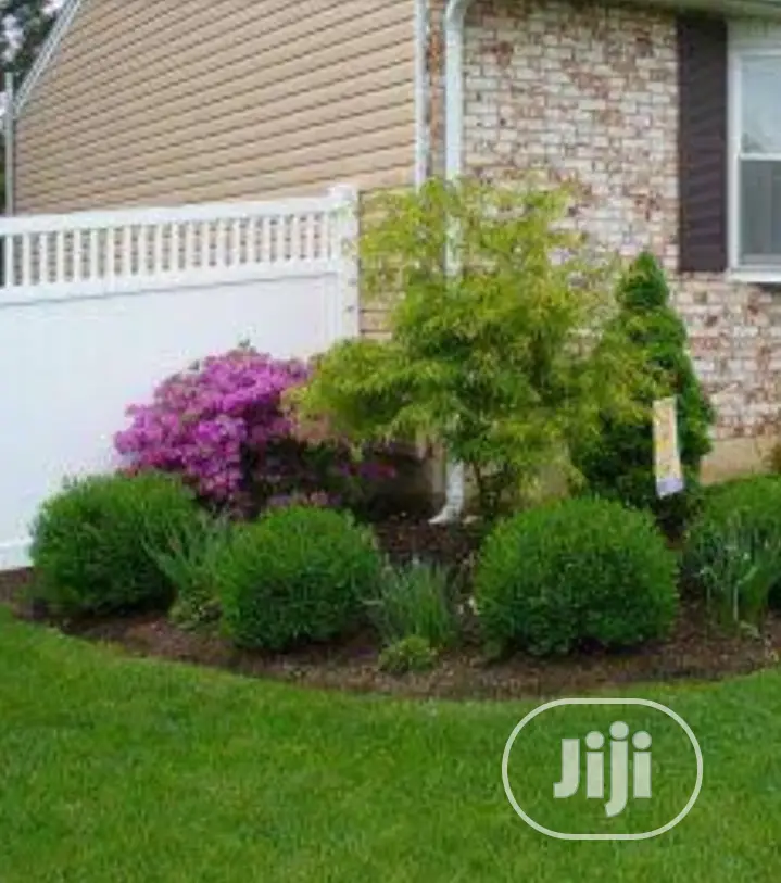 Land Scaping And Garden
