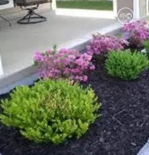Land Scaping And Garden
