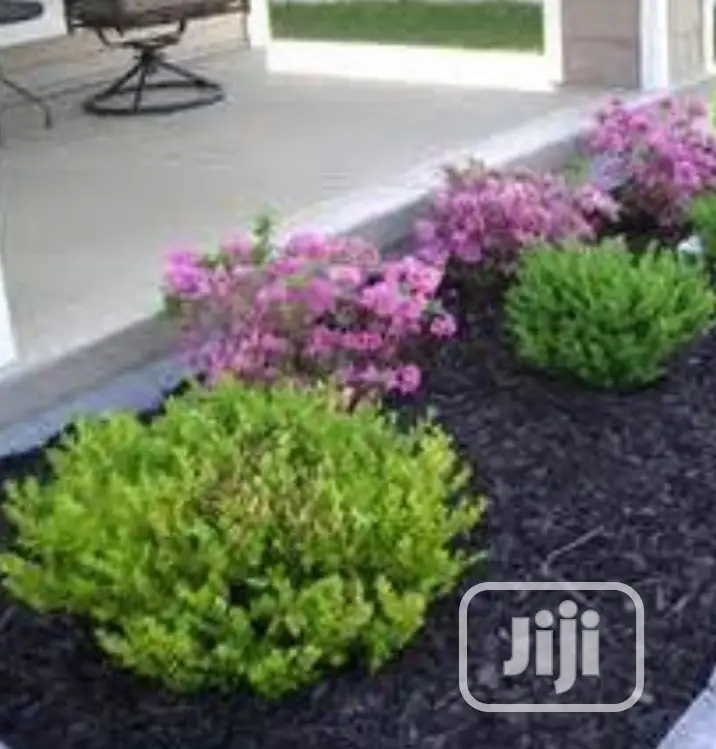 Land Scaping And Garden