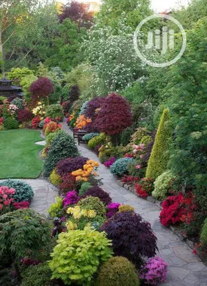 Land Scaping And Garden