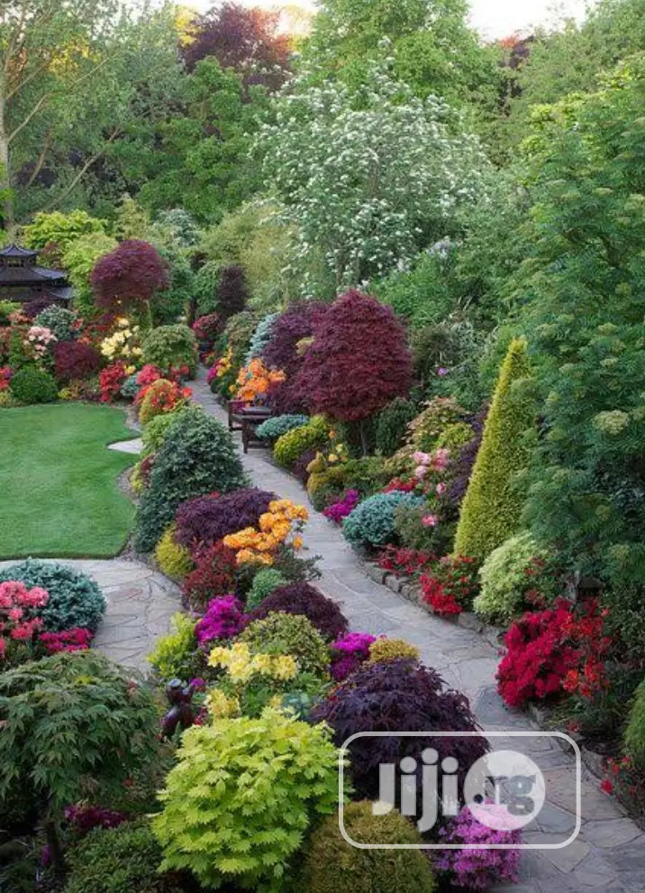 Land Scaping And Garden