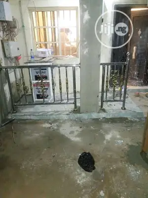 Stainless Designed Railings