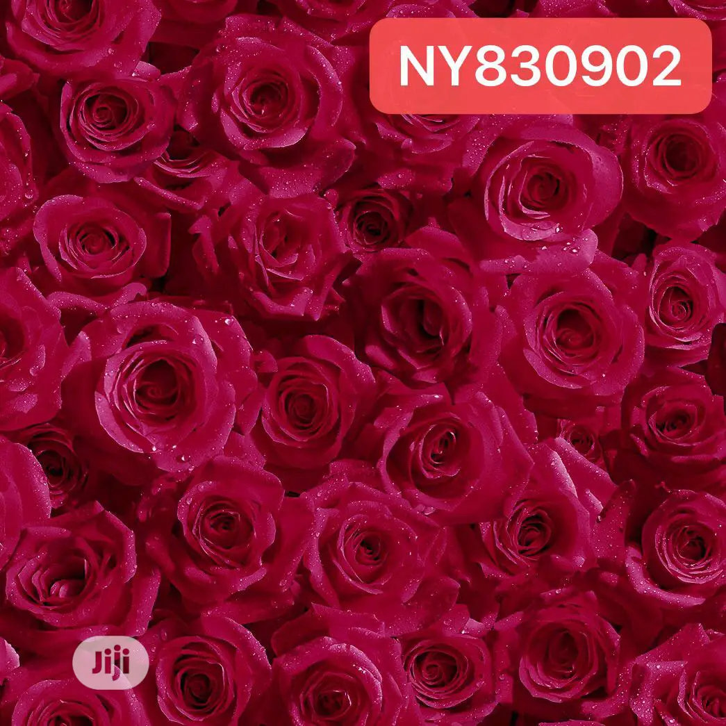 3D Wall Paper From 3750