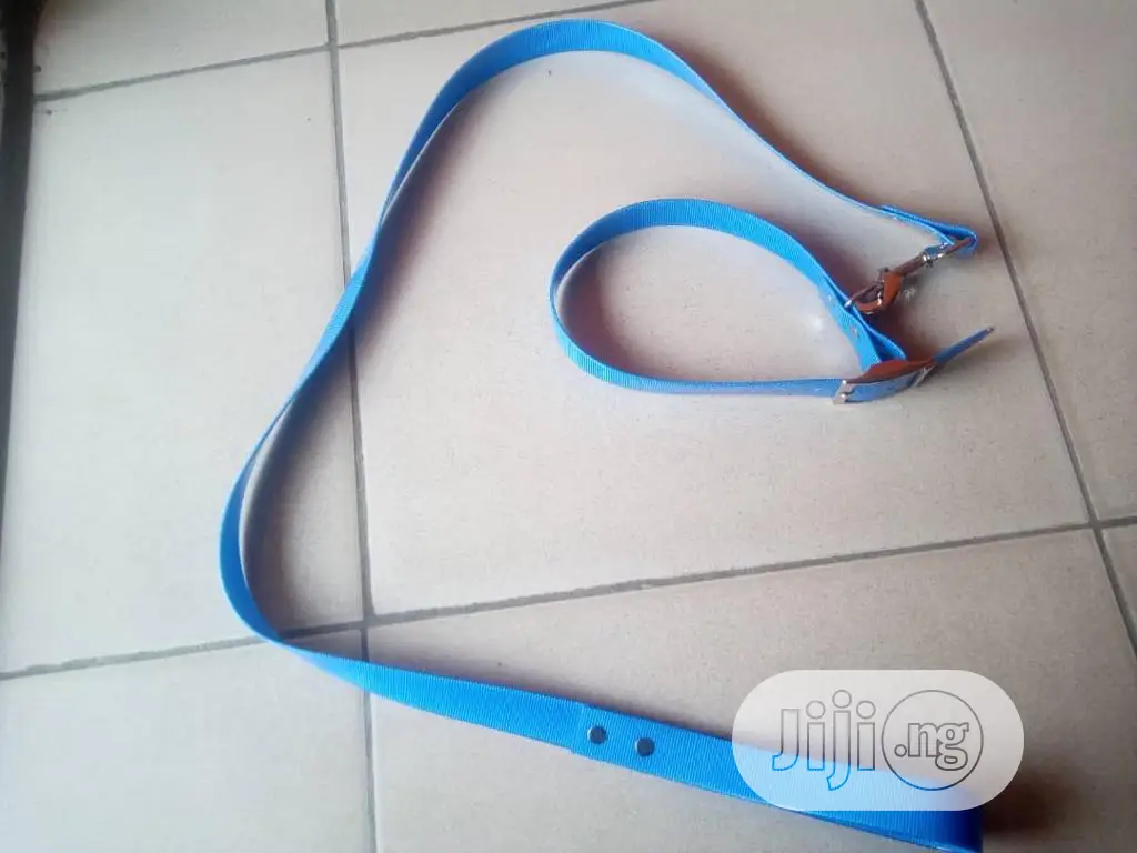 Dog Lead and Collar