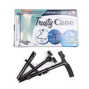 Trusty Cane. Walking Stick