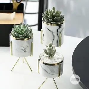 Flower Pot/ Gardener Hurticurturis