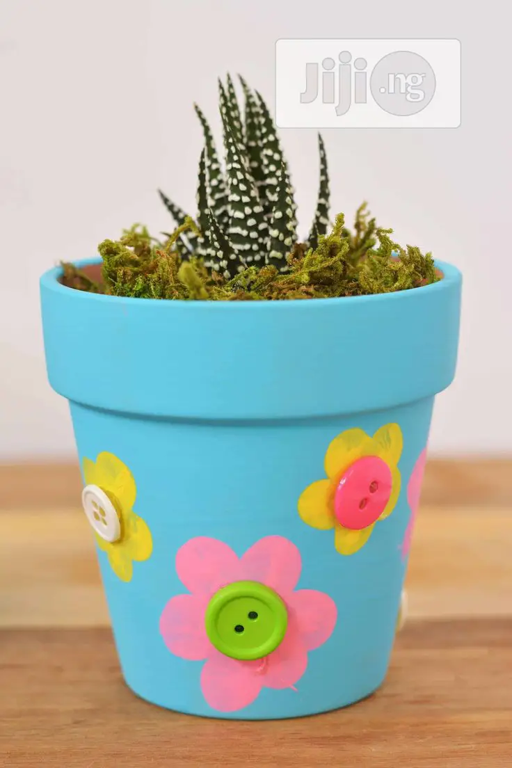 Flower Pot/ Gardener Hurticurturis