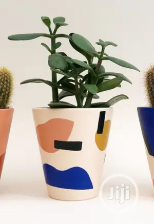 Flower Pot/ Gardener Hurticurturis