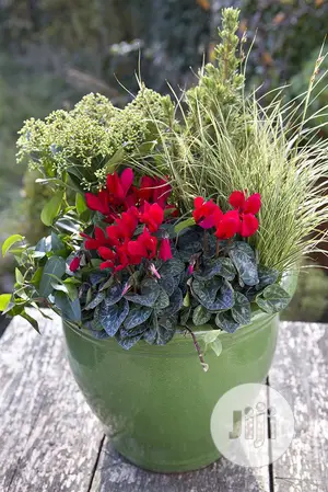 Horticulturist