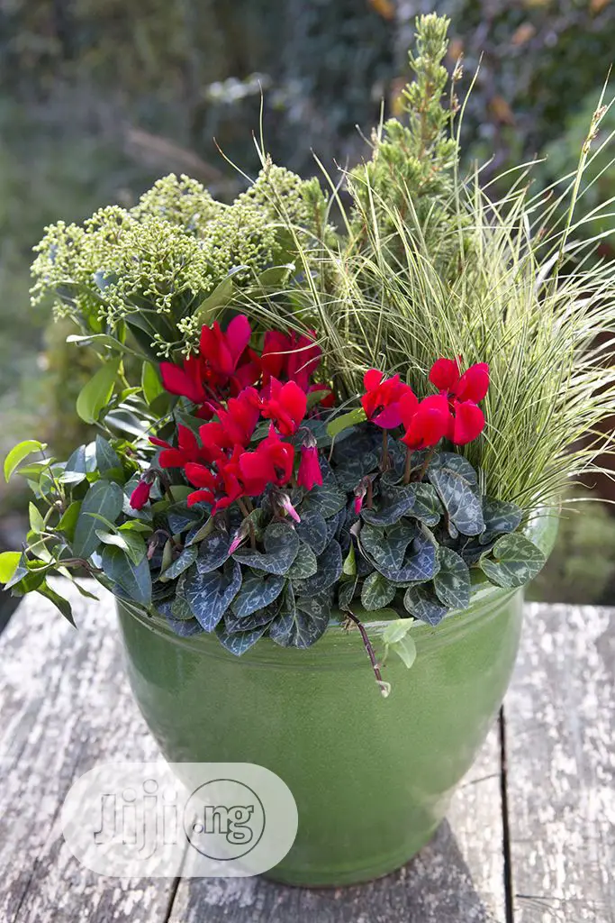 Horticulturist