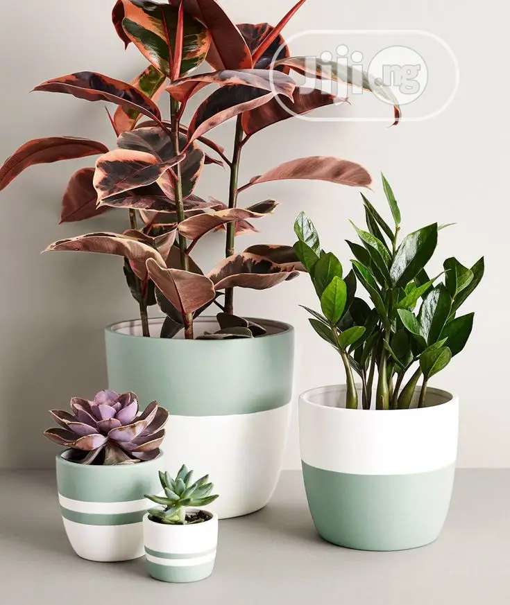 Horticulturist