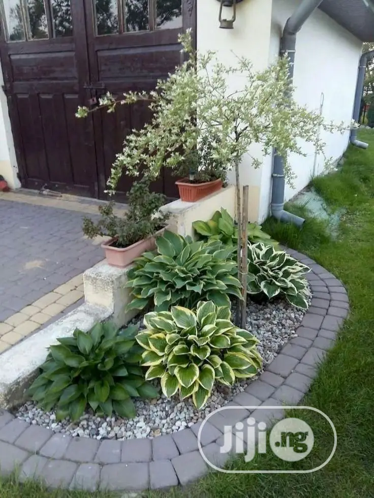Horticulturist