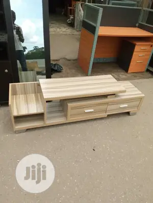 Plastma Television Standing
