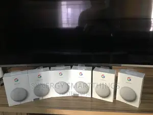Google Nest Mini (2nd Gen)