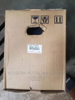 Ballon for Toyota SEQUOIA 2010 to 2019 Original (Briscoe)