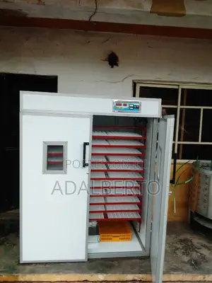 Eggs Incubators