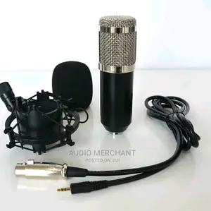 Studio Condenser Microphone With Stand
