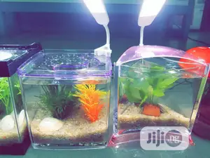 Mini Aquarium For Sale