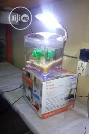 Mini Aquarium For Sale