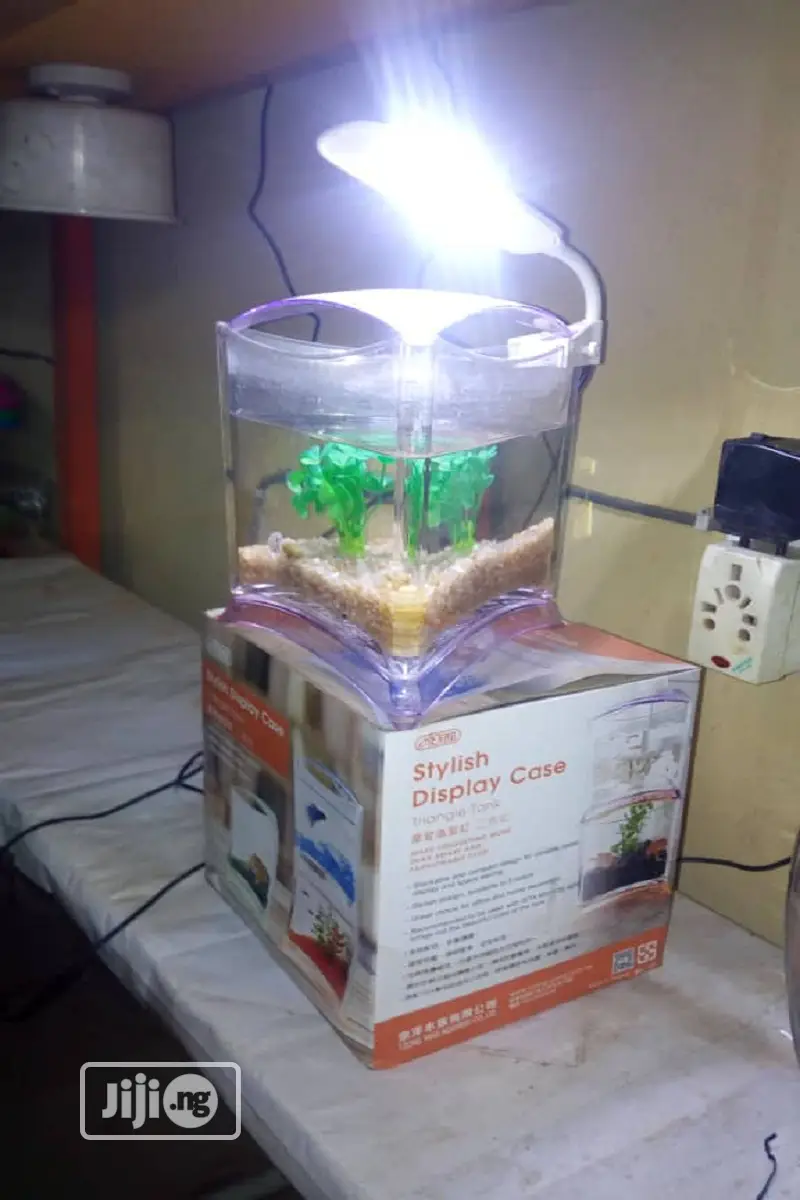 Mini Aquarium For Sale
