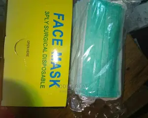 3ply Face Mask