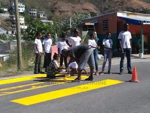 Zebra and Pedestrian Crossing Paint 100% Quality Touch