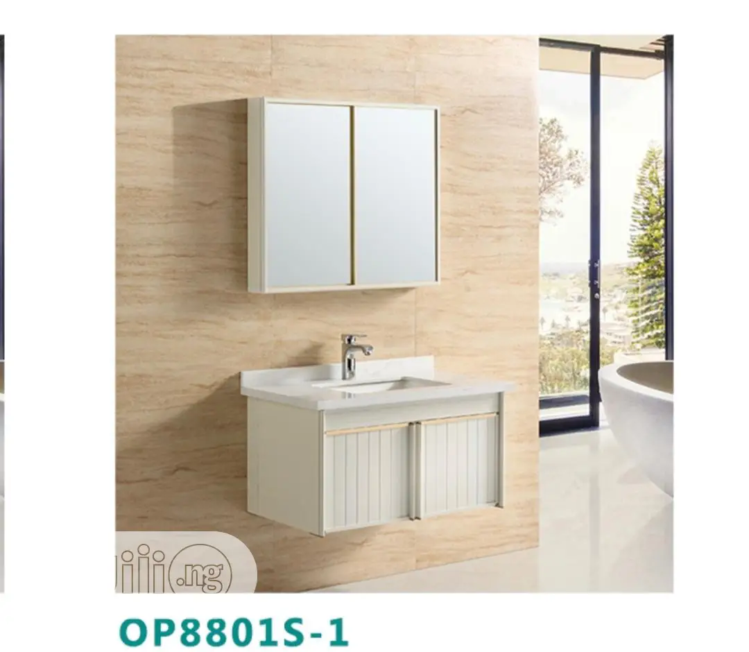 Cabinet Wash Basin TWNT