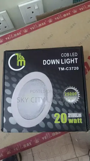Cob Led Light