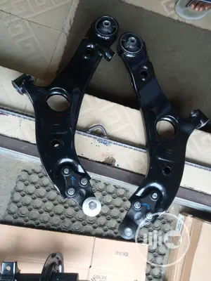 Complete Lower Arm Hyundai Santafee