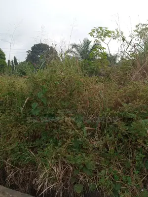 2 Plots Of Land For Sale At AGULU