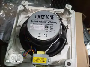 Original Professional Lucky Tone Ceiling Speaker 40watts