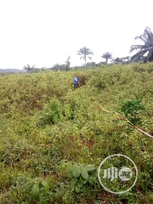 Farm Land at Igan Alade