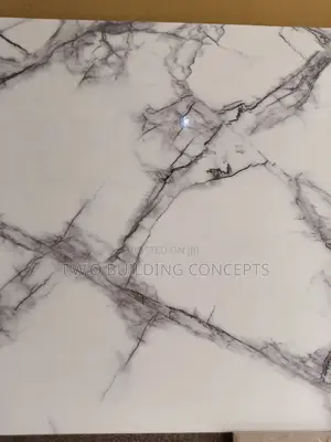 60 by 60 Floor Tiles