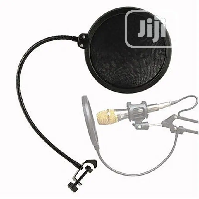 Double-Layer Recording Microphone Studio Pop Filter