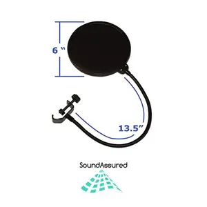 Double-Layer Recording Microphone Studio Pop Filter