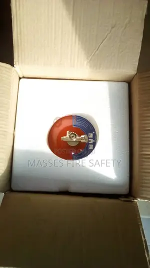 6kg Automatic Fire Extinguisher