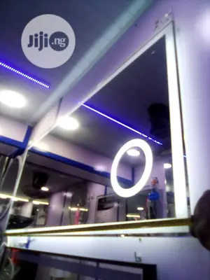 Executive Long Mirror