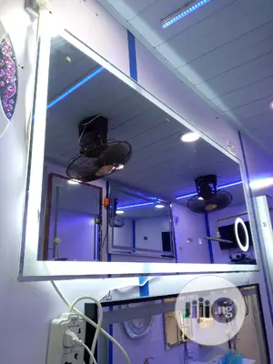 Long Mirror With LED Light