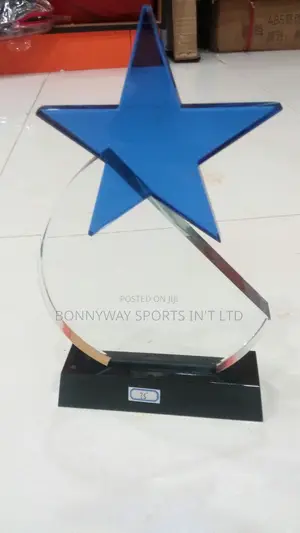 Presentation Award Glases