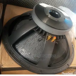 Infinity Naked Vip 18,2000 Speaker