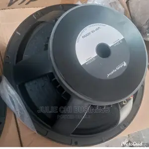 Infinity Naked Speaker 15"