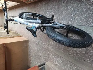 Fat Tire Bicycle