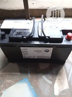Original Bmw Battery