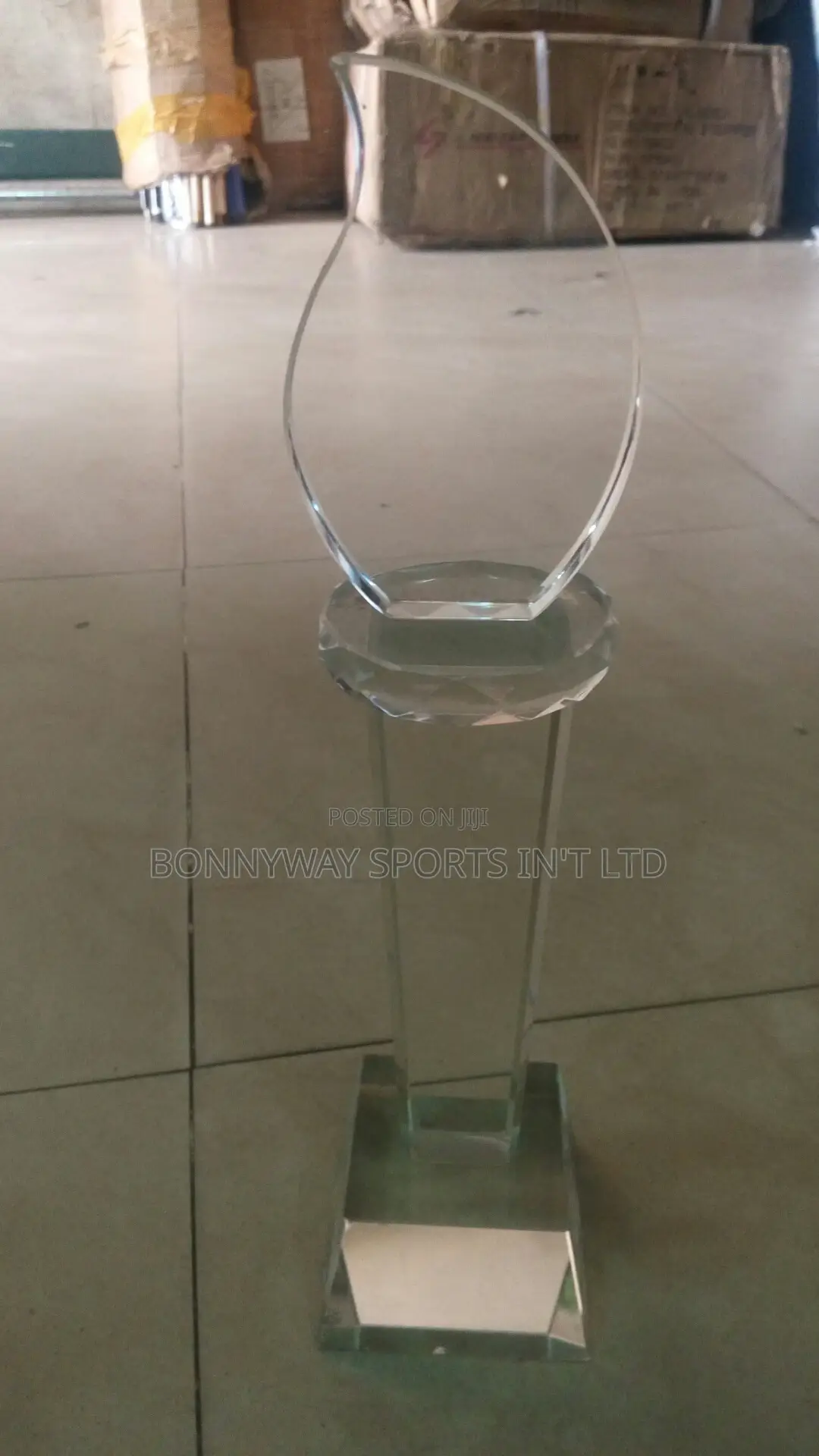 Presentation Award Glasses