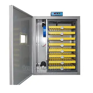 300 Eggs Incubator Fully Automated Electric Powered AC/DC